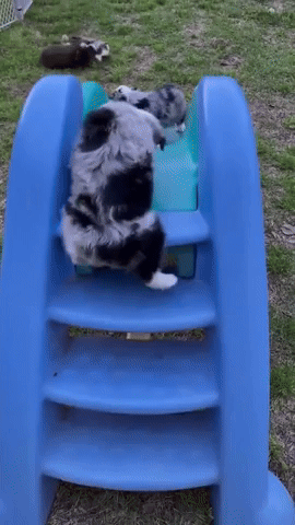 HappyMemorialDay8680.gif