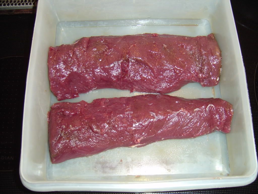 DSC02760.jpg