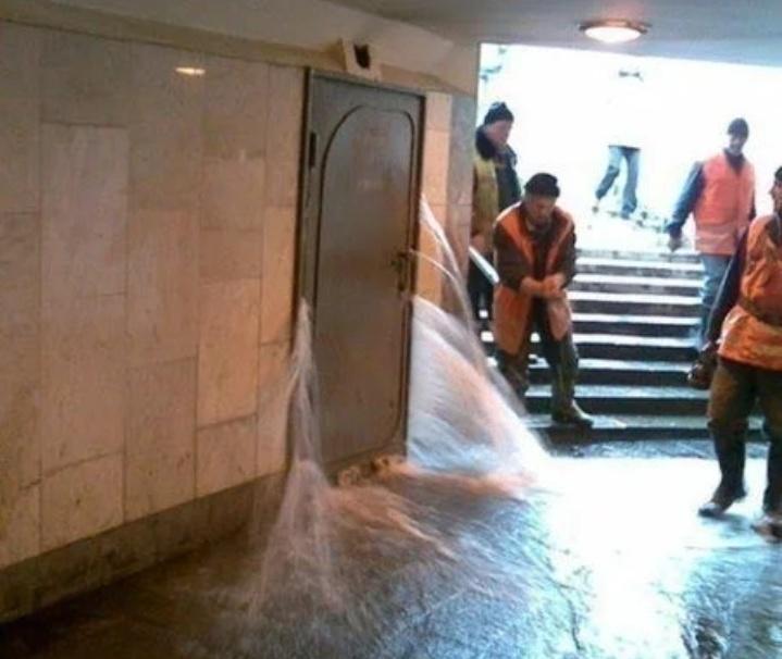 dlwujzfriip21.jpg