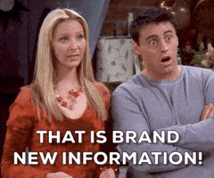 Season 8 Episode 3 GIF by Friends