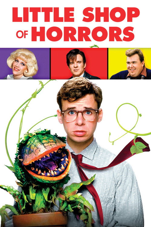 www.themoviedb.org