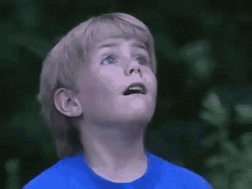 Wow Dude GIF