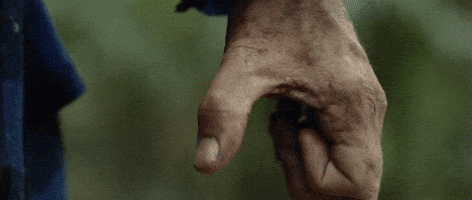 Angry Sam Neill GIF by HUNT FOR THE WILDERPEOPLE  