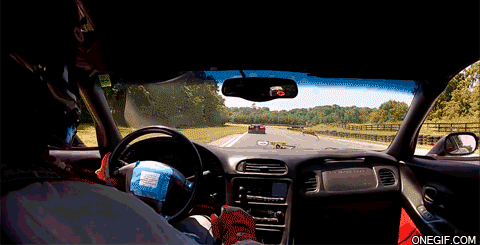 tumblr_nfs2xzLuWY1sxyscuo1_500.gif
