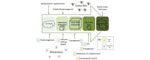 www.sciencedirect.com