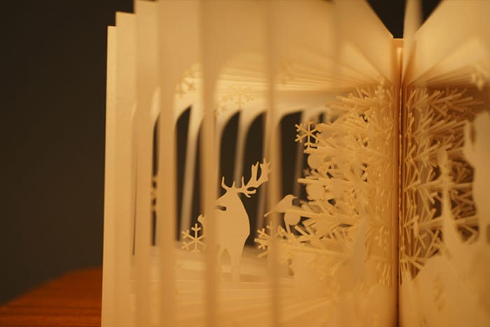 book-11.jpg