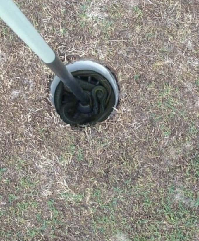 Hole-in-One.jpg