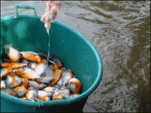 tumblr_n9e85vVWbY1s02vreo1_400.gif