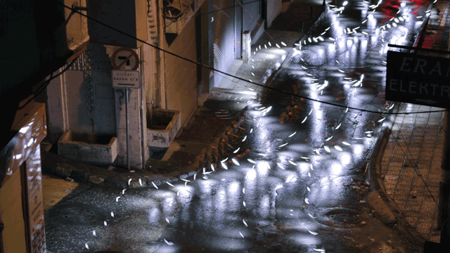 light_flood.gif