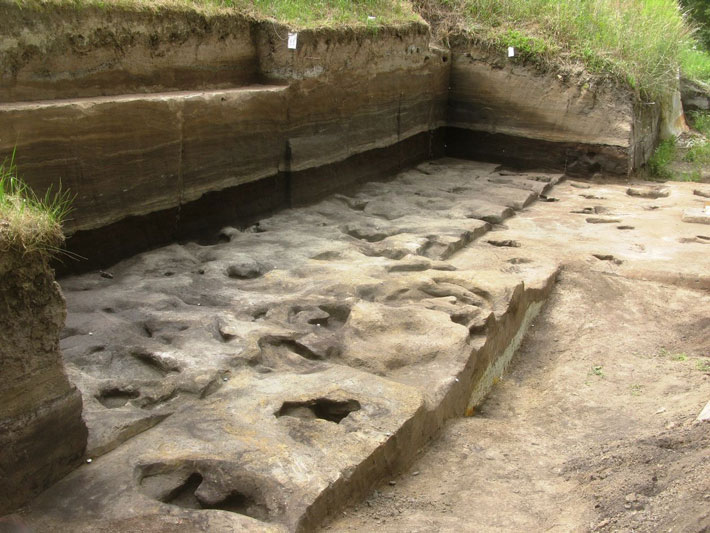 www.archaeology.org