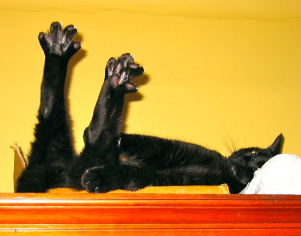 Stretch.jpg