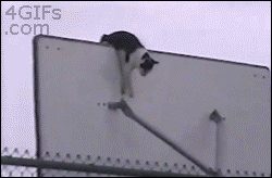 pole.gif