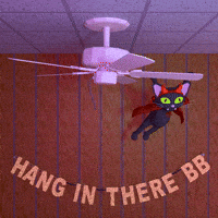 Hang In There Cat GIF by jjjjjohn