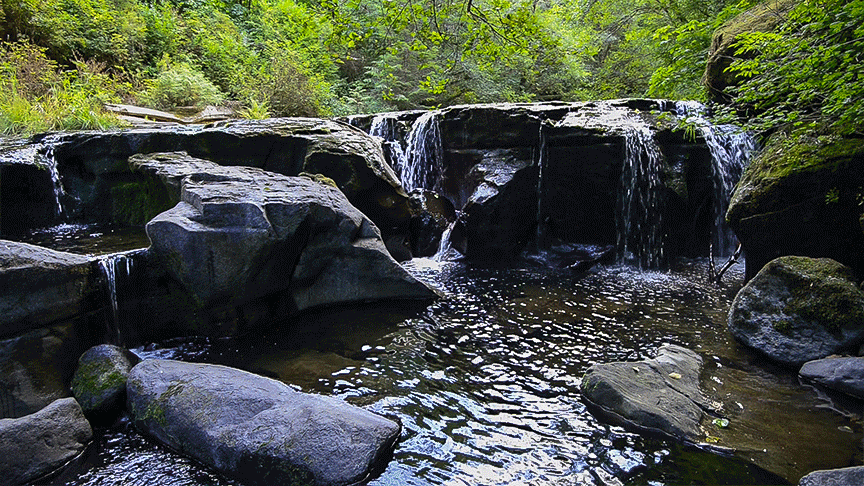 sweek-creek.gif