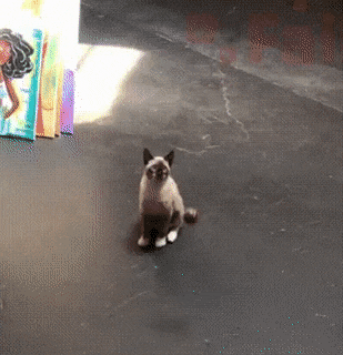beat-it-feb-35.gif