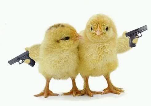 chix.jpg