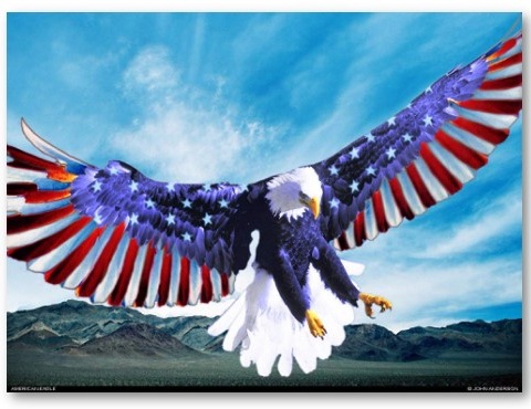 american-bald-eagle.jpg