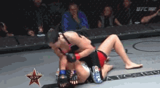 TKO.gif