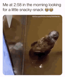 hungry-hangry.gif