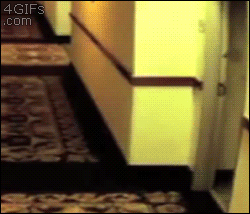 tumblr_mzmjptLlKo1qdlh1io1_250.gif