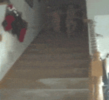 christmas falling GIF by America's Funniest Home Videos