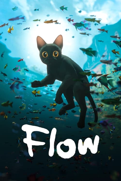 www.themoviedb.org