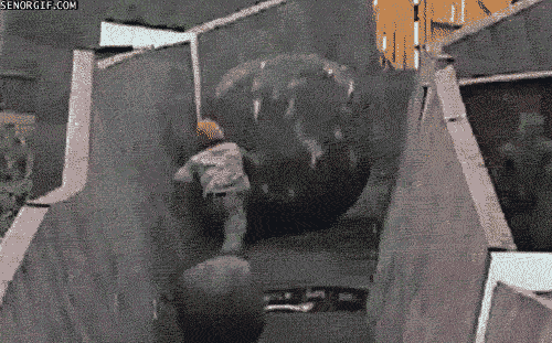 7eq0.gif