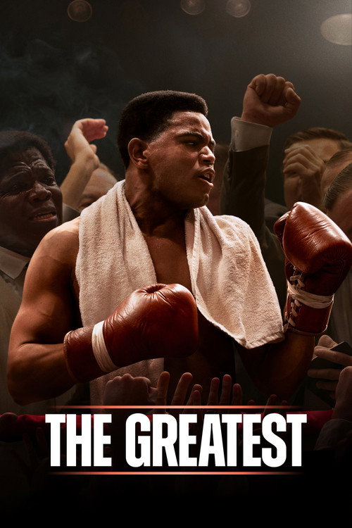 www.themoviedb.org