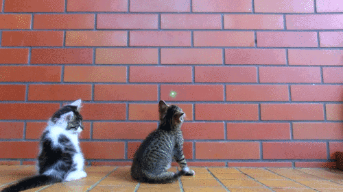 2gBs7hi.gif