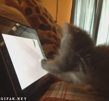 tumblr_mwf6l3oGLk1s2gg27o1_400.gif