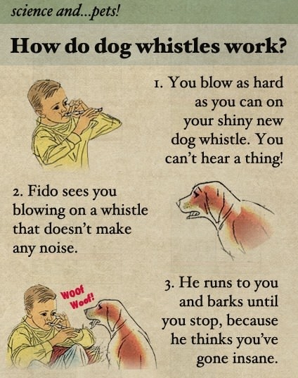 tumblr_mcpqdwU0Nf1ql2603o1_500.jpg