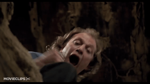 D5p_Gh.gif