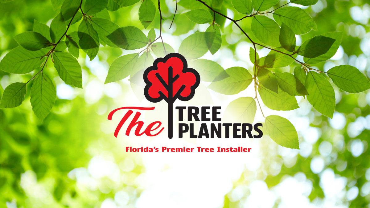 thetreeplanters.com