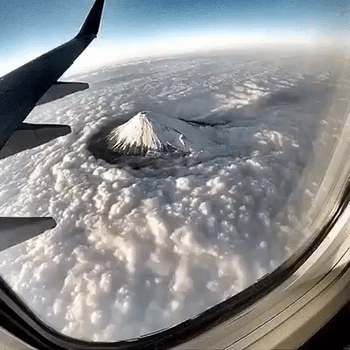 take-a-shower-april-15.gif
