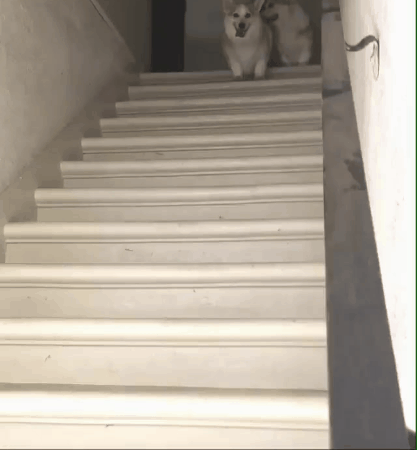 jt25rna4vmnz.gif
