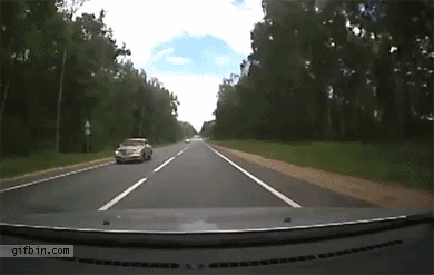 1311591181_deer_accident_dashcam_footage.gif