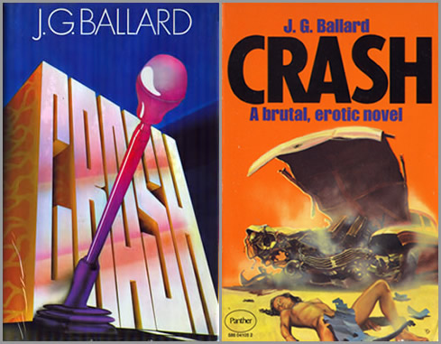 Image result for crash book cover