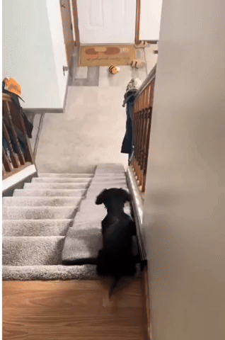 ForeverSunny2807.gif