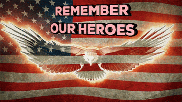 American Flag America GIF by MOODMAN