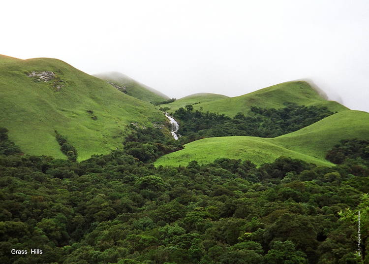 western-ghats.jpg