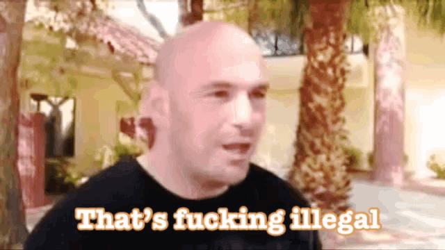 dana-white-thats-fucking-illegal.gif
