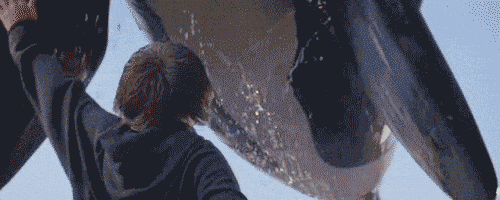 Free Willy 90S GIF