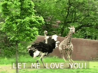 tumblr_m47cv4qT2z1qii6tmo1_400.gif