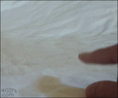 tumblr_mjoudzVnZT1qdlh1io1_400.gif