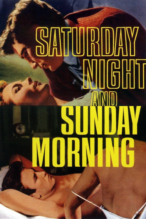 www.themoviedb.org
