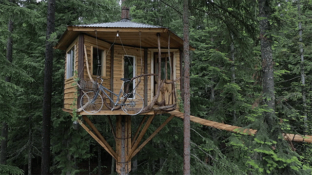 cabin-1.gif