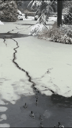 lousy-smarch-weather-28.gif