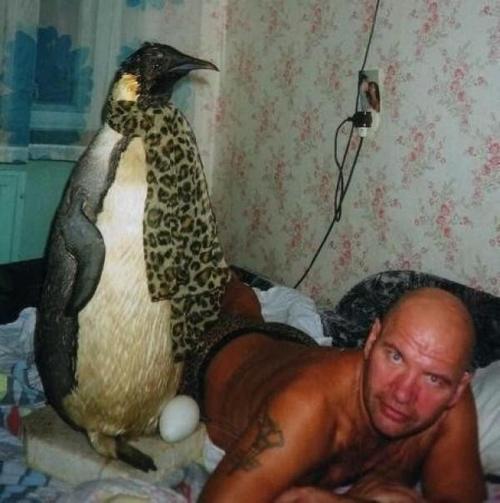 8Yn8EQ.jpg
