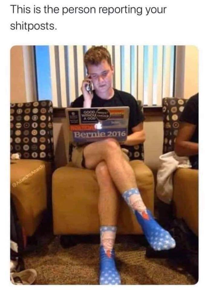 s4if0ql2wf141.jpg
