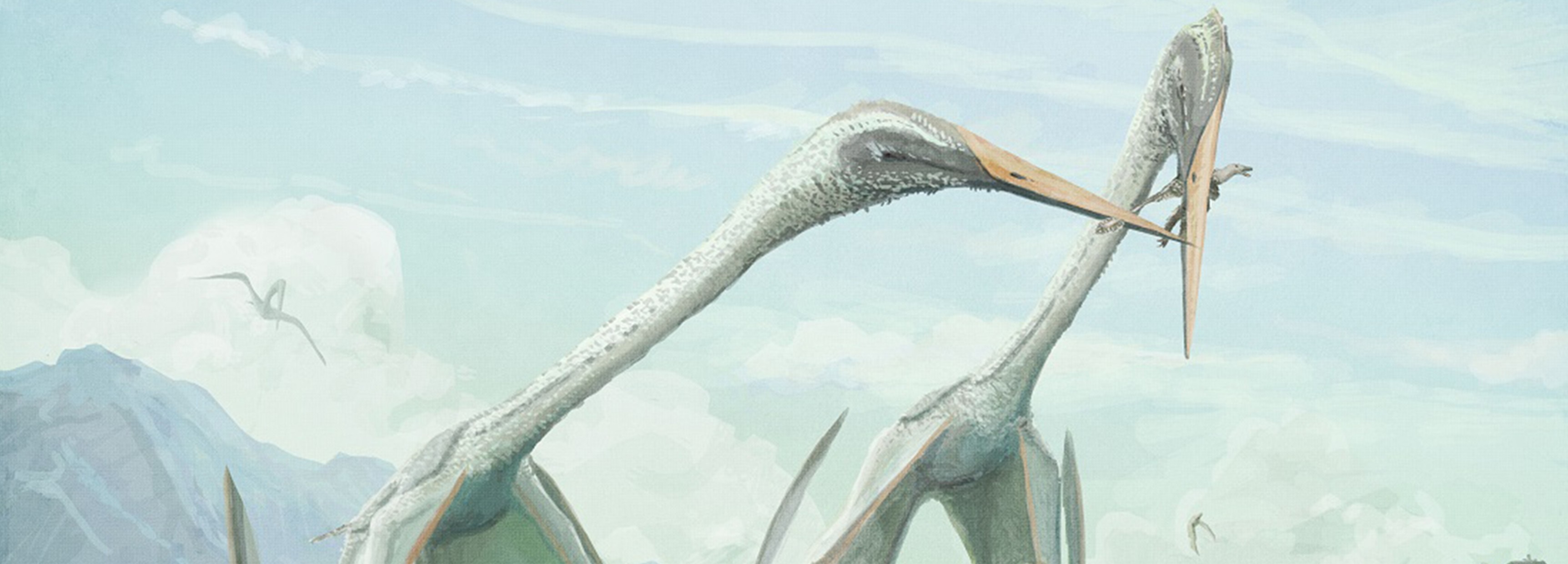 www.bbcearth.com